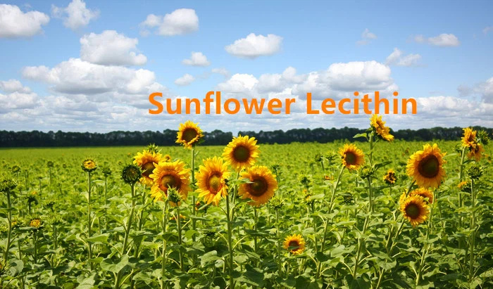 Sunflower Lecithin Powder_副本.jpg